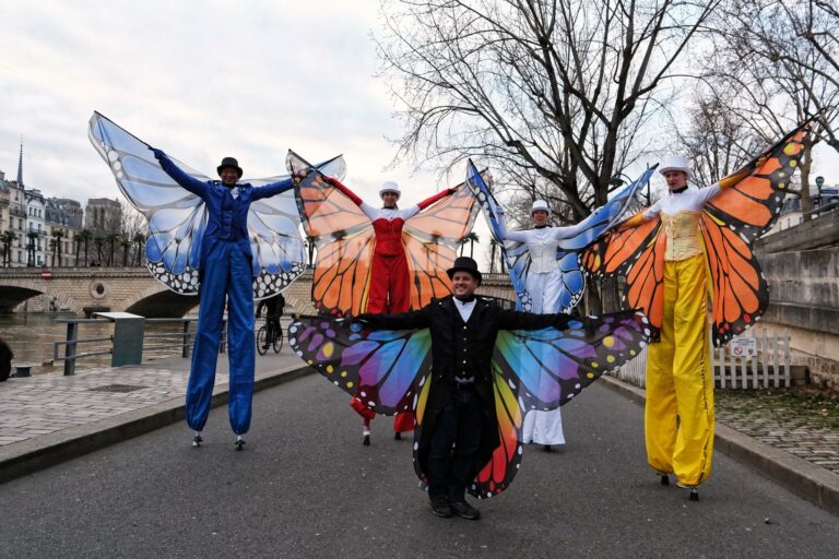 Echassiers Papillons spectacle