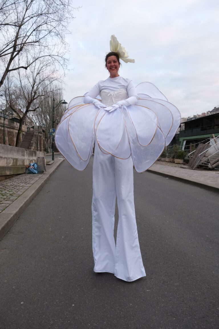 echasse fleur blanche