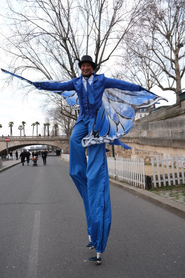 echasse papillon bleu