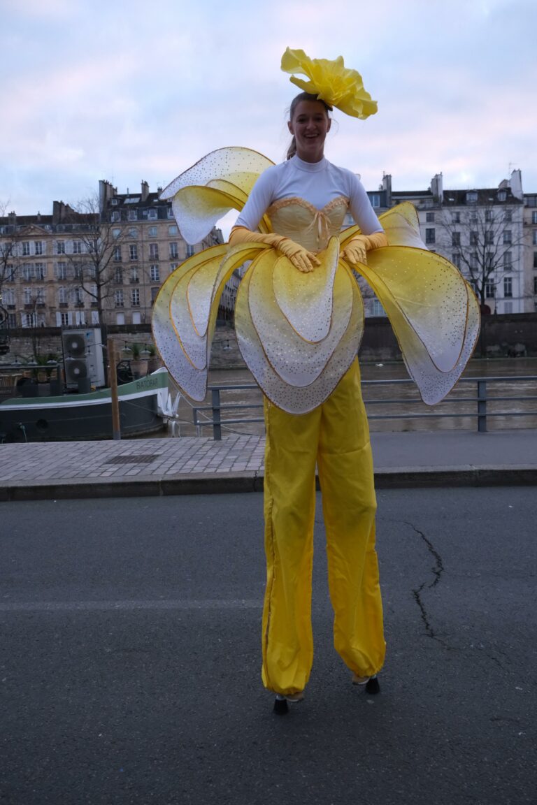 echassier fleur jaune