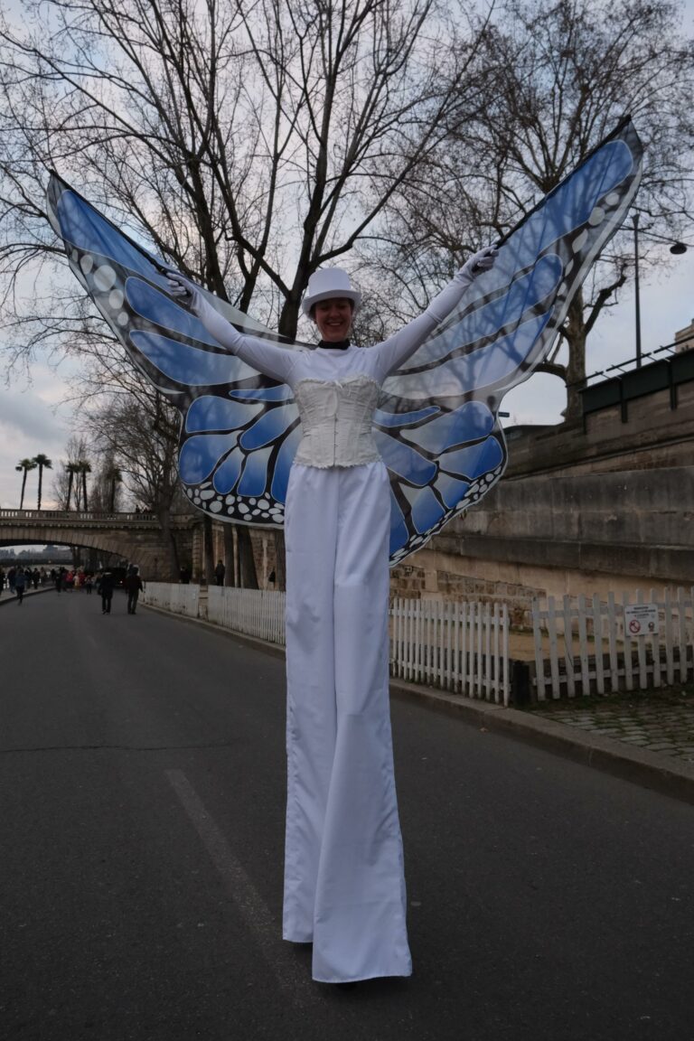 echassier papillon blanc