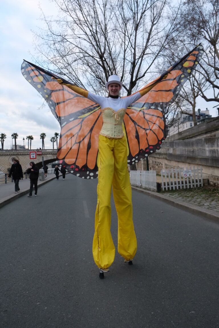echassier papillon jaune