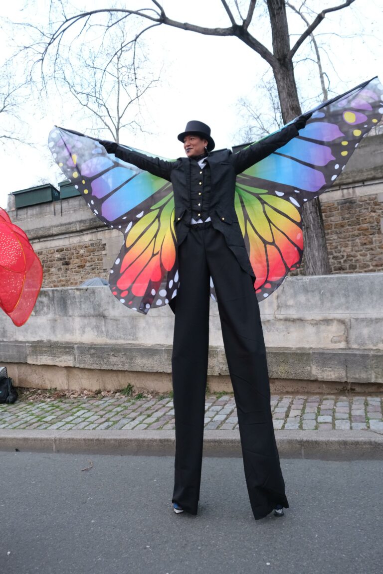 echassier papillon spectacle