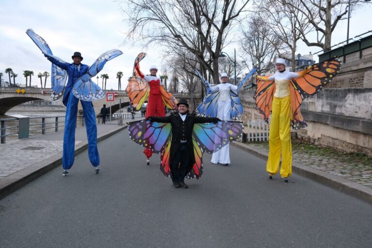 echassiers papillons