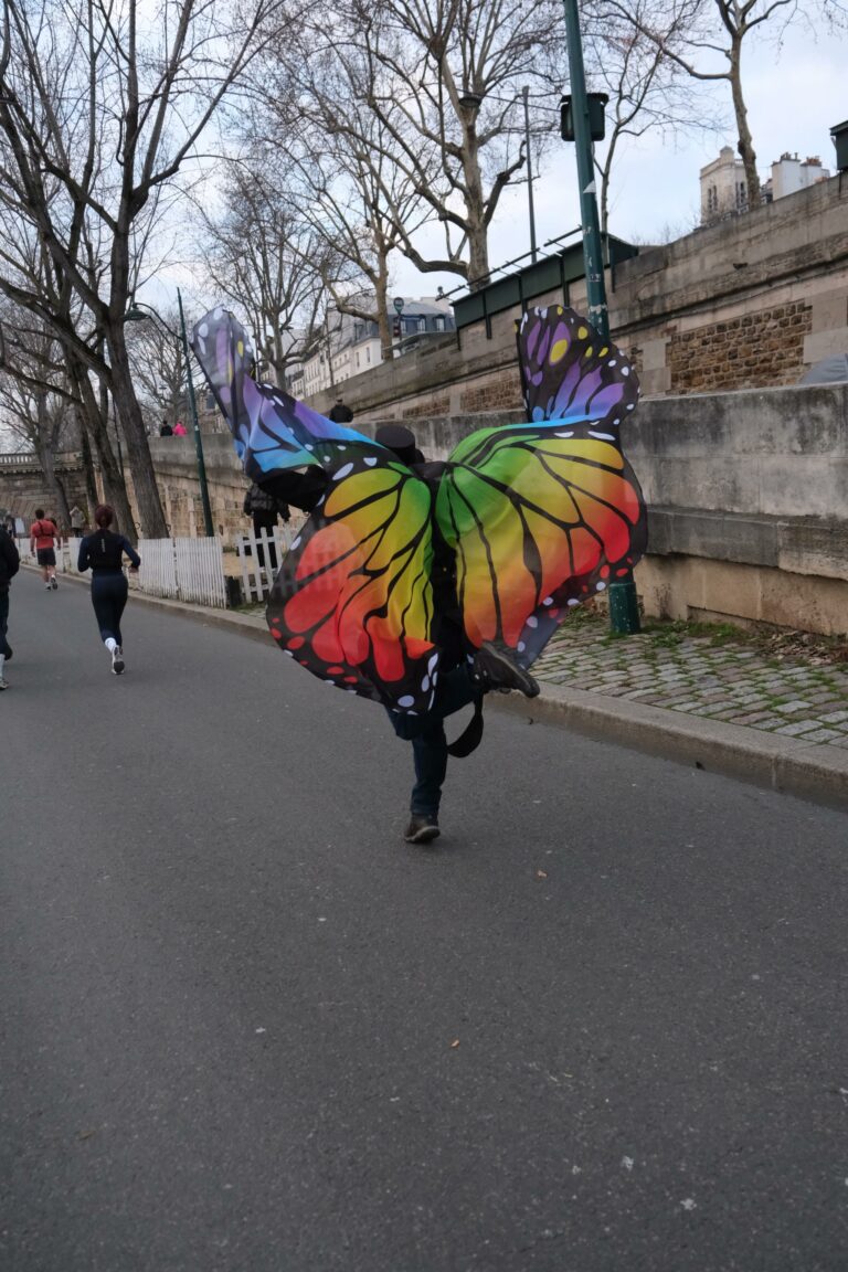 papillon parade
