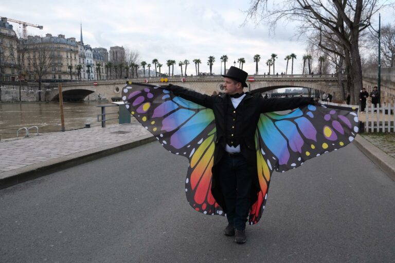 papillon costume