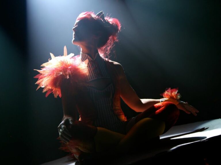 spectacle contorsionniste